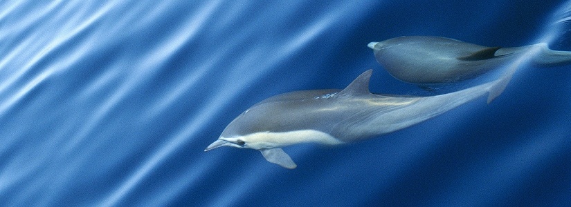 j0414054.jpg