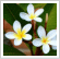 menu2.gif