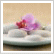 menu1.gif