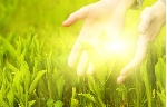 Fotolia_7714513_S.jpg