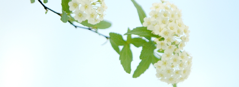 65_0149201200s2.jpg