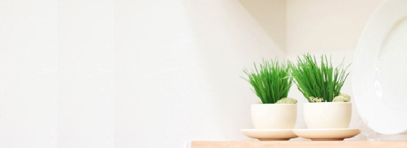header7.jpg