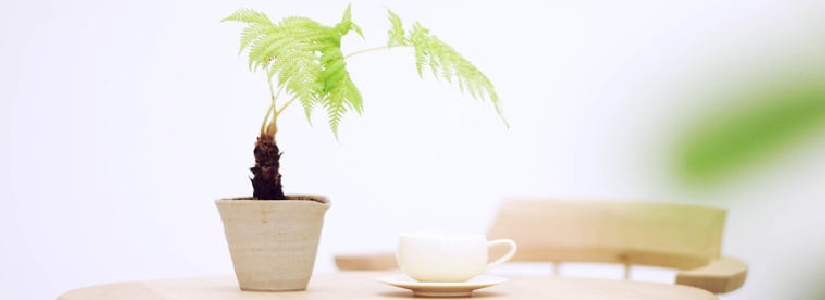 header10.jpg