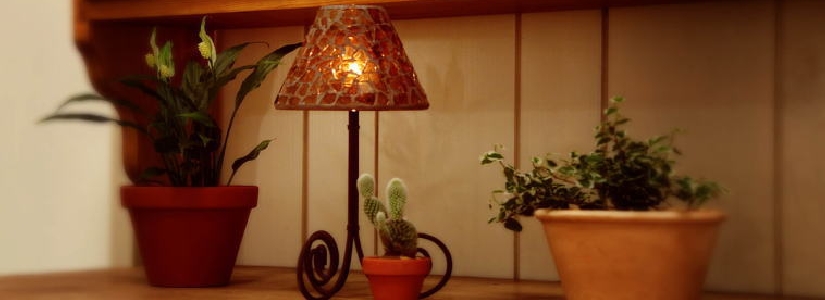header8.jpg